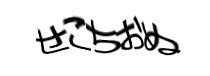Authentication image